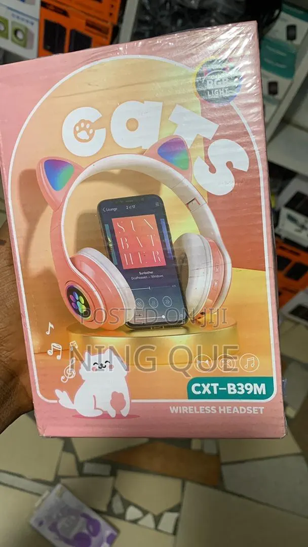 Cat Headphones · Photo 1