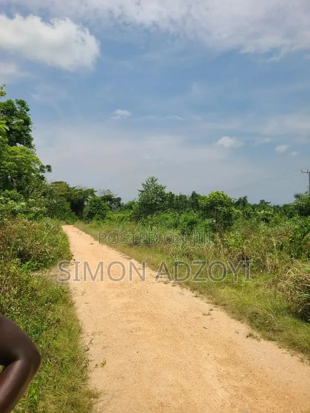 20,000 Acres of Cocoa Farme Land · Photo 1