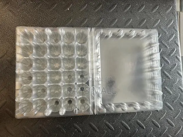 Transparent Quail Egg Crate · Photo 1