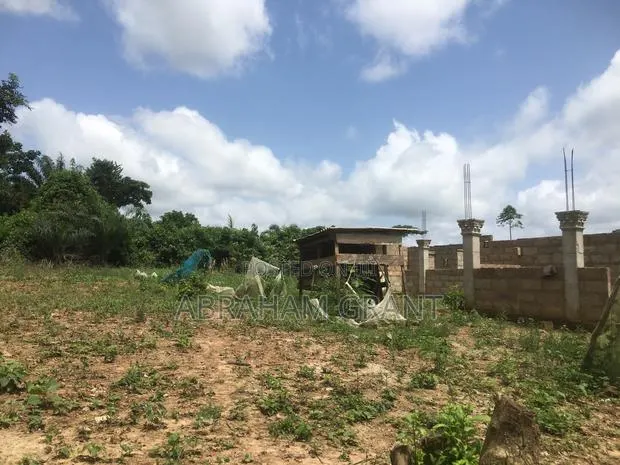 More Farm Land for Sale at Ejisu Atia Kotie Cool Prices · Photo 1