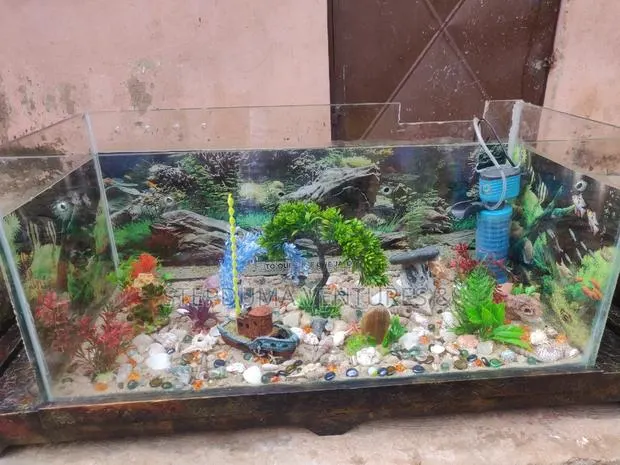 5ft+ Aquarium Tv Stand With 3 Free Fishes Feed · Photo 4