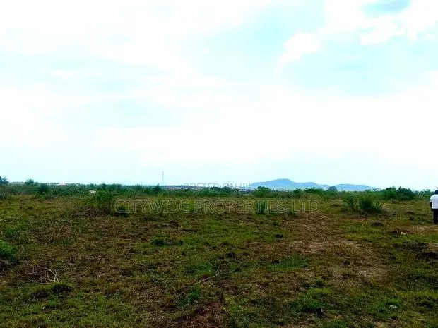 Prime Roadside Land - Between Winneba Apam · Photo 1