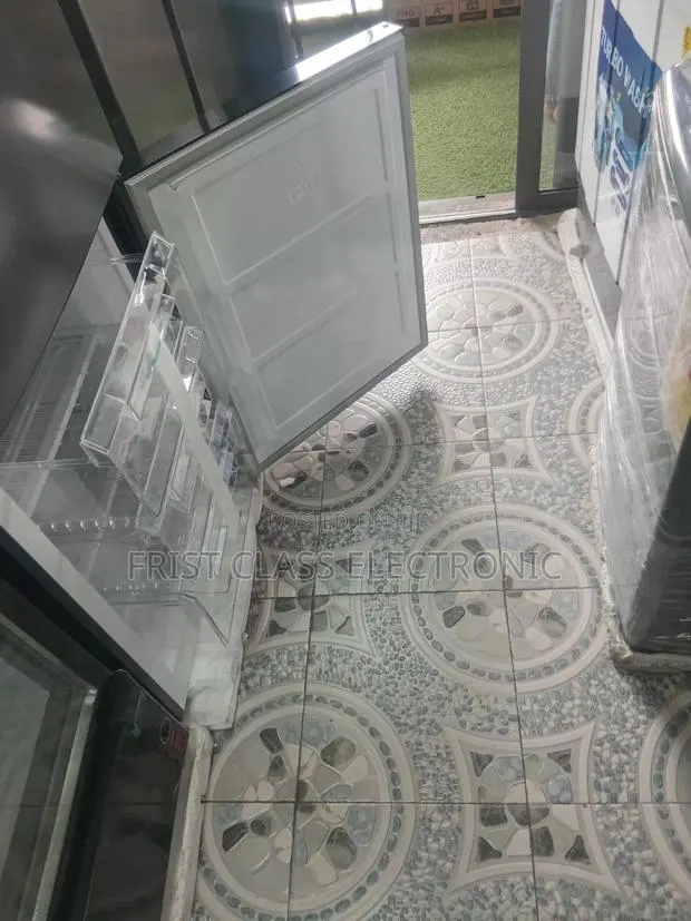 Freshness Without Limits | Roch Bottom Freezer Fridge · Photo 1
