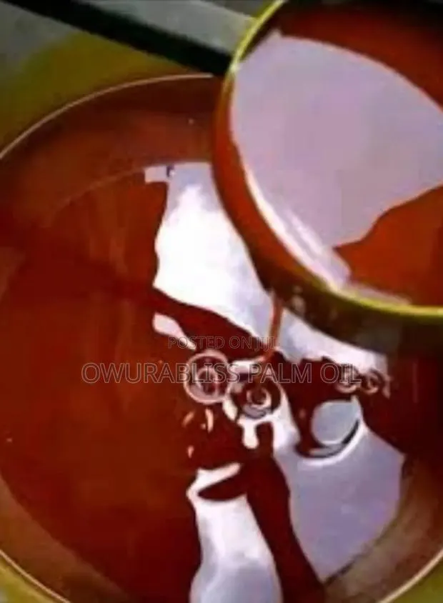 Organic Palm Oil · Photo 1