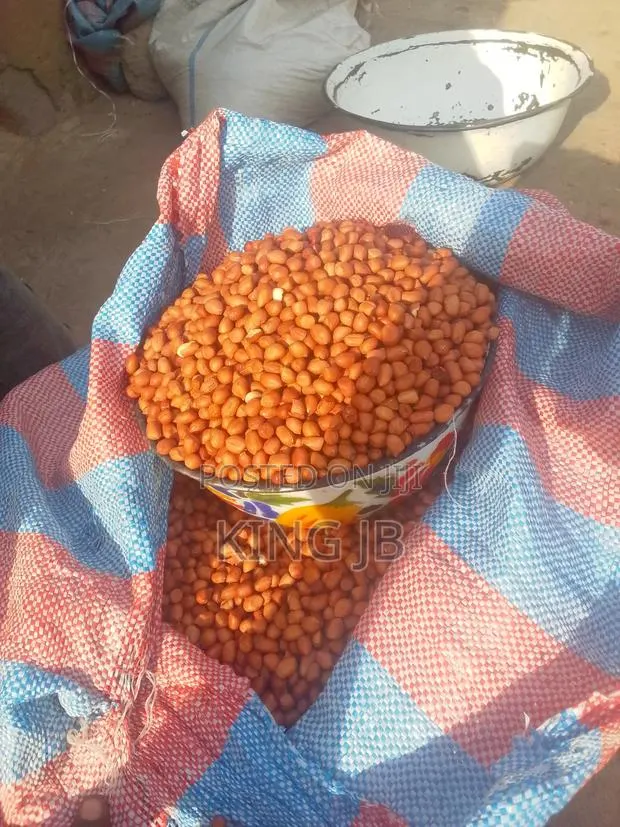Fresh Groundnut for Sell · Photo 1