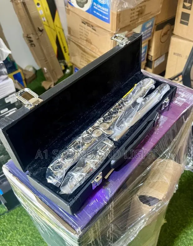 Metallic Flute With Case · Photo 1