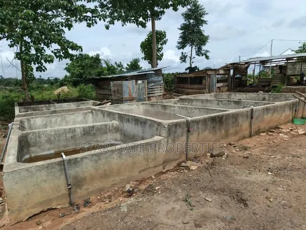 Fish Farm for Sale at Nyinahin ( Abuakwa/ Bibiani Road) · Photo 1