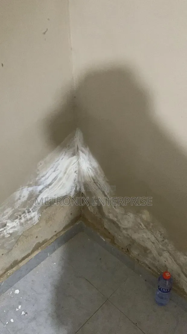 Damp and Waterproof Treatment Expert · Photo 1