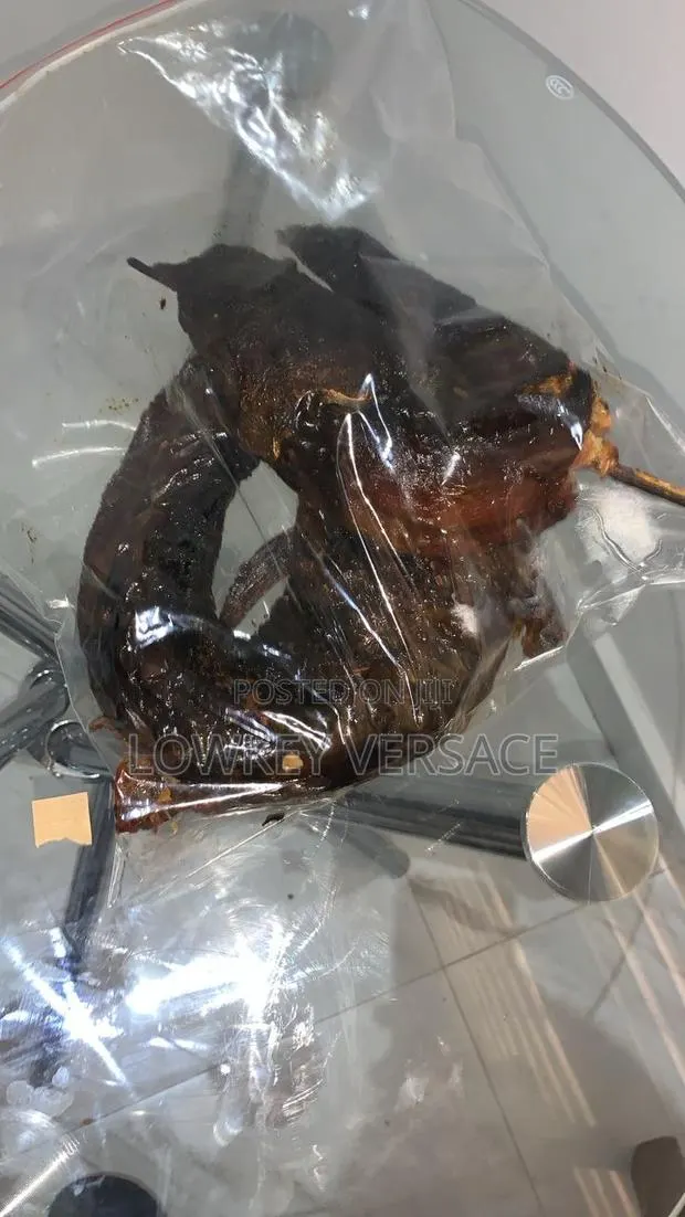 Oven Dried Catfish · Photo 1