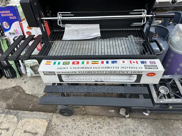 Foreign Charcoal Grill · Photo 1