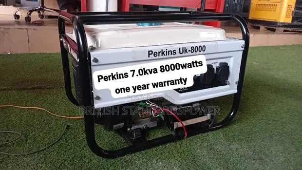 Perkins 8000w Generator – Strong Engine, Smooth Operation · Photo 1