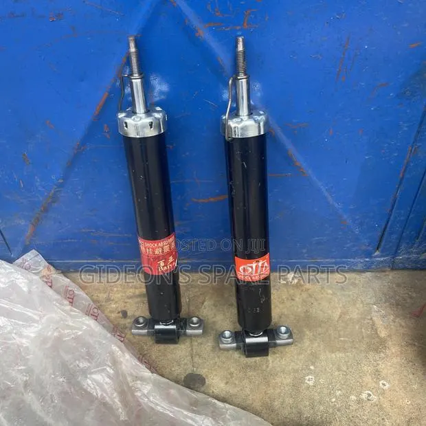 Ford Fusion Back Shocks Absorbers · Photo 1