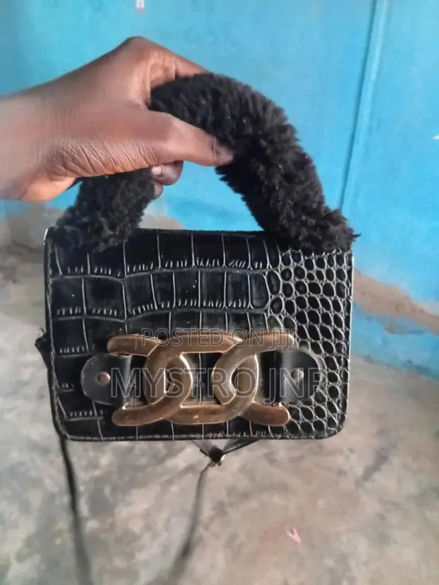 I Have a Bag · Photo 1