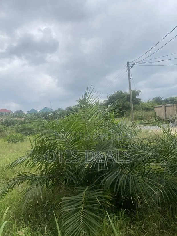 Two Plot of Land for Sale at Ag Swedru Bangalow, One for 35000 · Photo 1