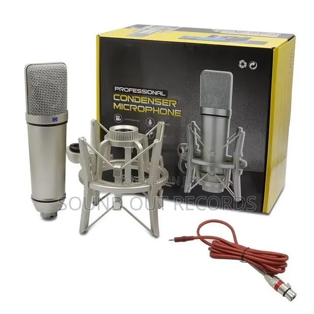 Microphone U87 Large Capsule Microphone · Photo 1