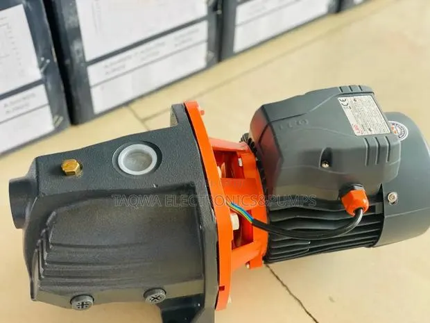 Efficient Leo 1.5hp Cast Water Pump · Photo 1