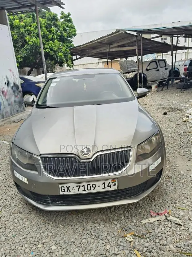 Skoda Octavia 2014 Gray · Photo 1