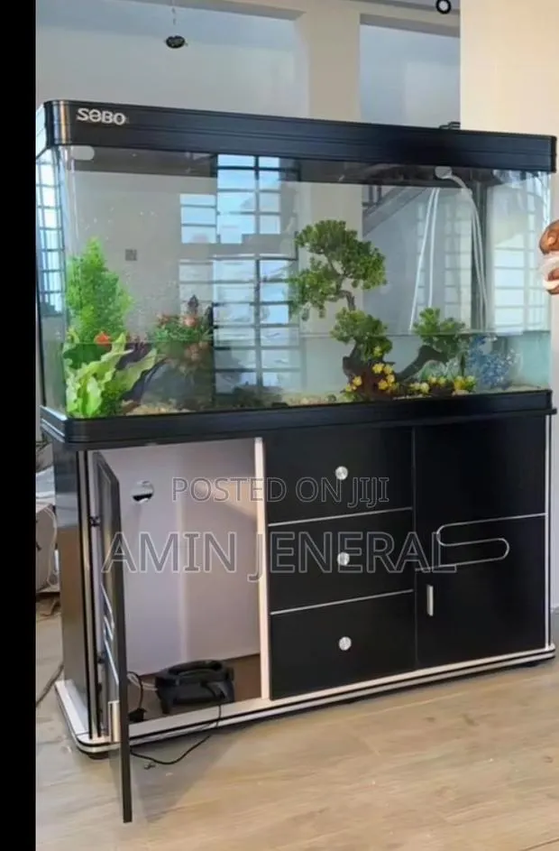 4 Feet Aquarium · Photo 1