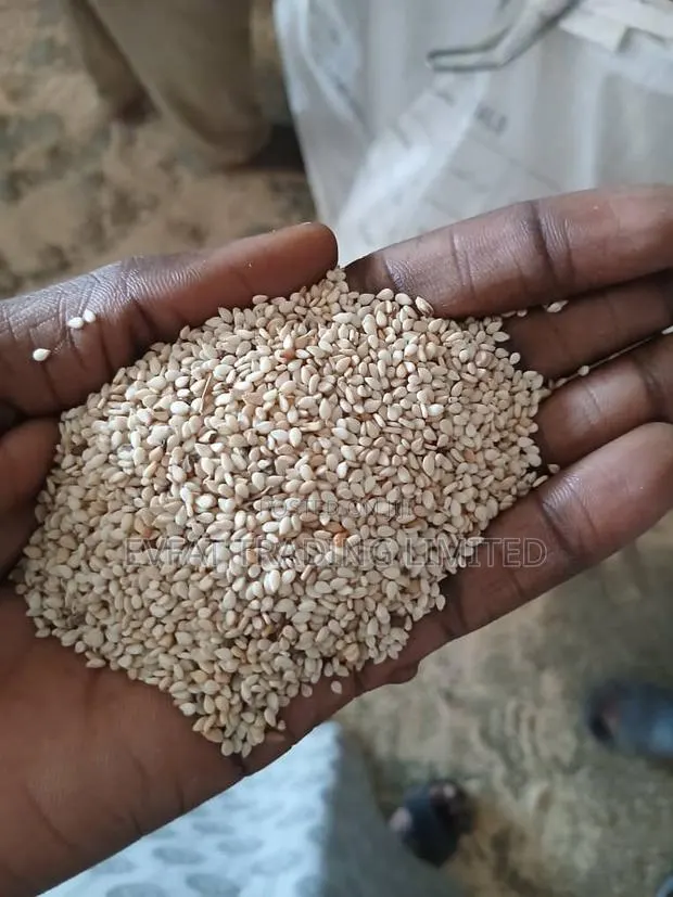 Sesame, Raw Cashews · Photo 1