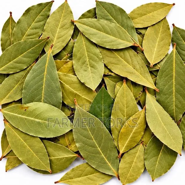 Bay Leaves · Photo 1