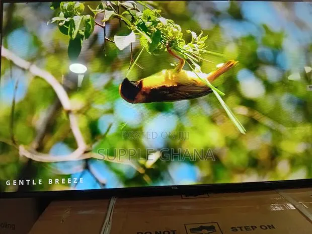 TCL 43” Tv – Perfect Size, Powerful Performance · Photo 1