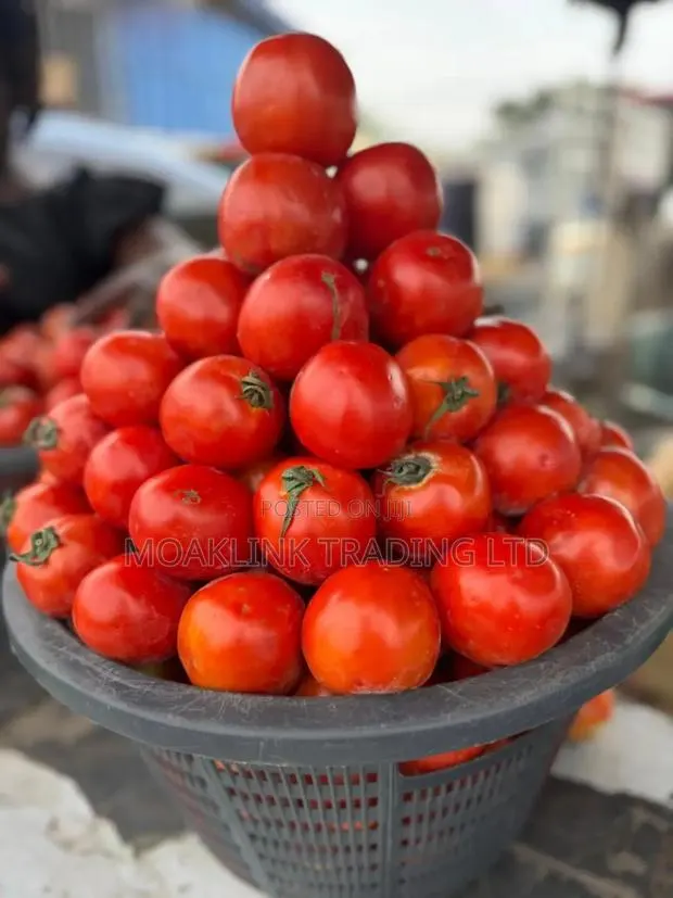 Fresh Tomato · Photo 1