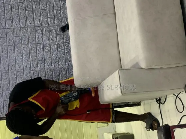Sofa Cleaning · Photo 1