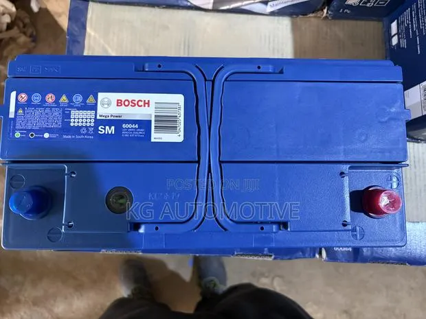 19 Plate Bosch 100ah · Photo 1