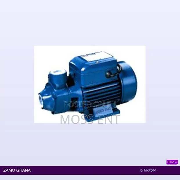 End-Suction Peripheral 0.5 Hp - Mkp60-1 · Photo 1