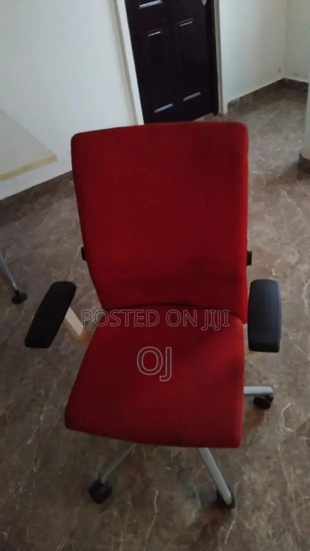 Astra Ergonomic Chair