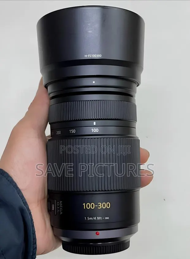 Panasonic Lumix 100-300mm F/4.0-5.6 Lens · Photo 1