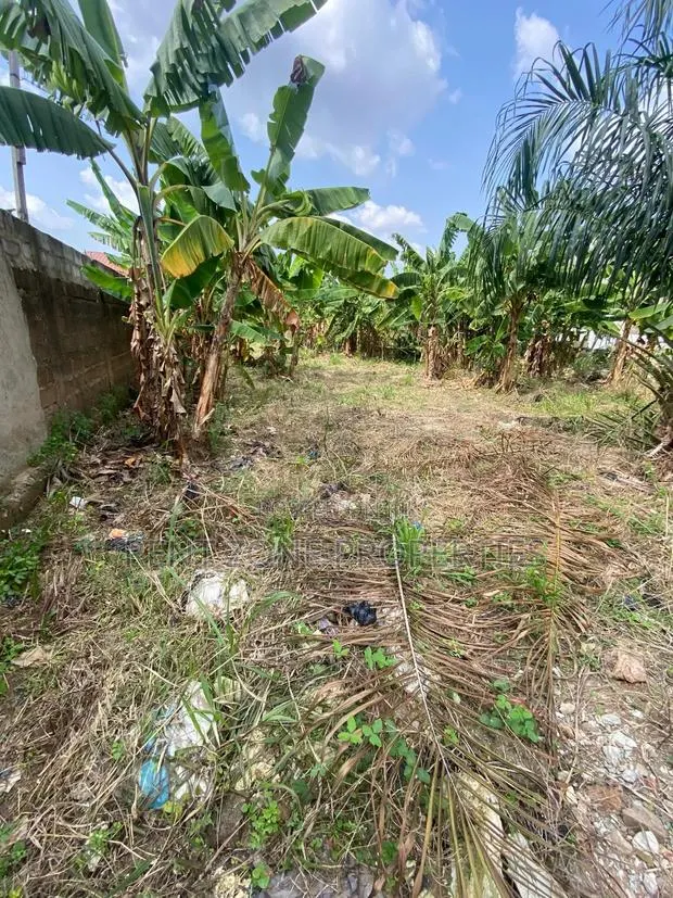 Land With Indenture and Site Plan · Photo 1