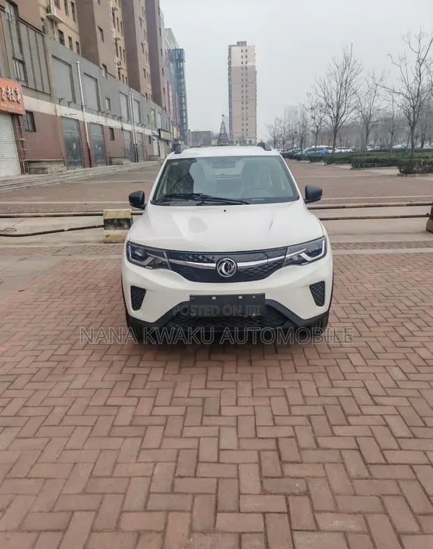 Dongfeng EV EX1 33 kW FWD 2022 White · Photo 2