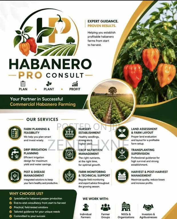 Habanero Pro Consult · Photo 1
