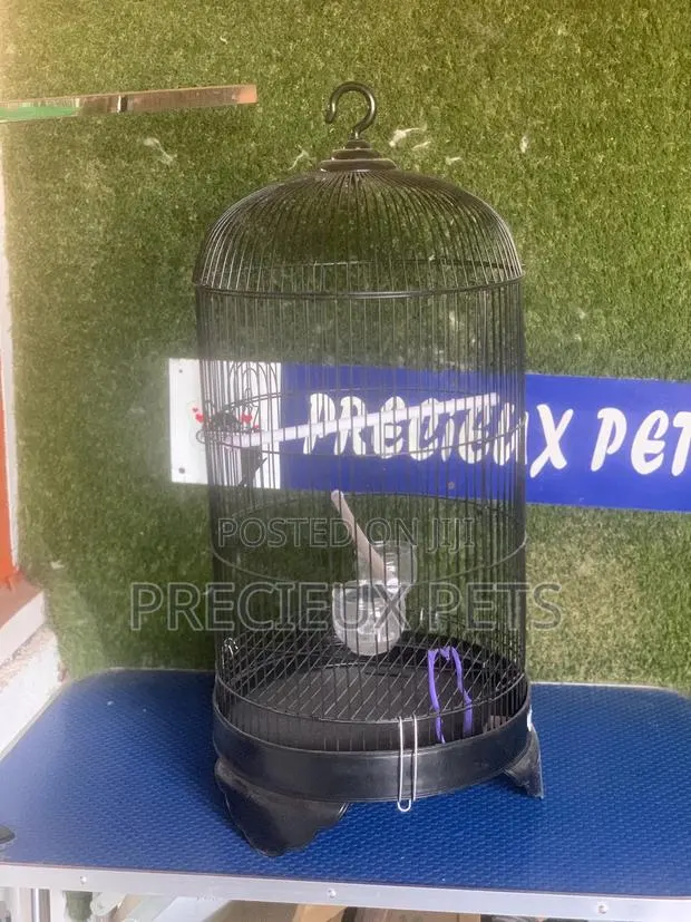 Parrot Cage Tag 0001 · Photo 1