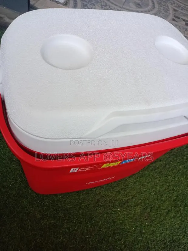 Insulated Cooler Box for Drinks and Food