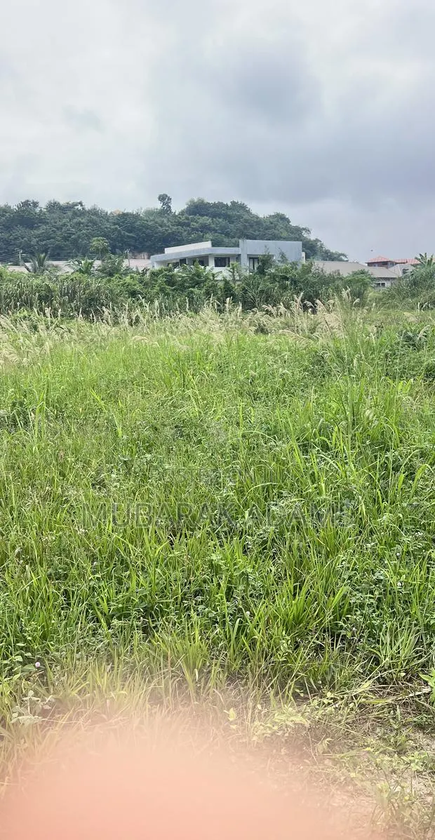 Bush Weeding · Photo 4