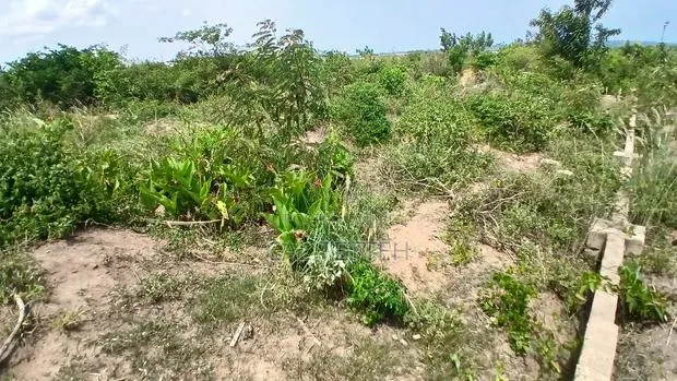 2 Plots of Land at Ojobi for Sale