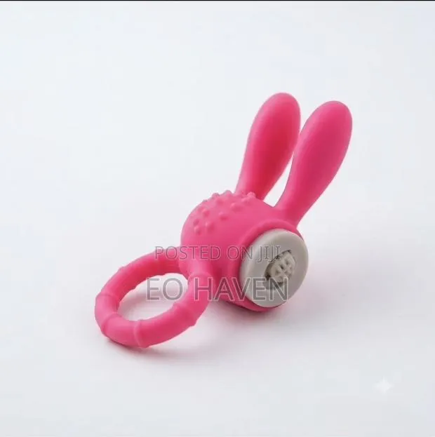 Bunny Ring Lock · Photo 1