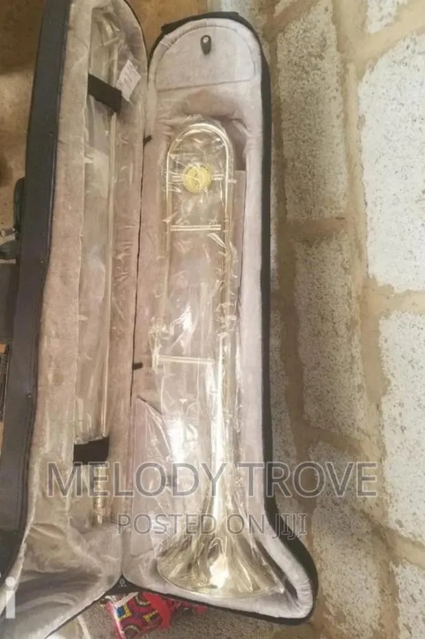 Silver/Gold Trombone · Photo 1