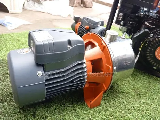 Quality Engine Water Pump 1.5hp Leo Water Pump · Photo 1