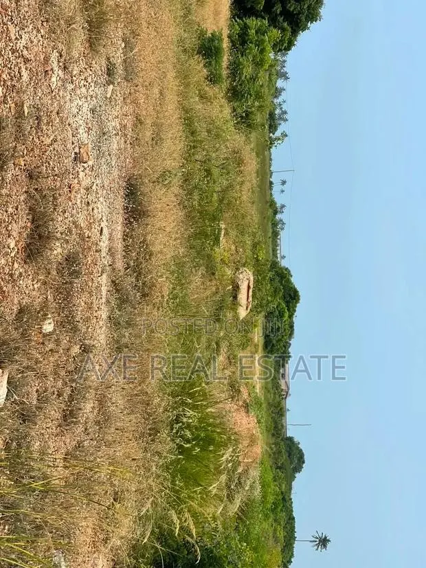 Buy Plot! Get Documents Instant - New Ningo Prampram · Photo 1