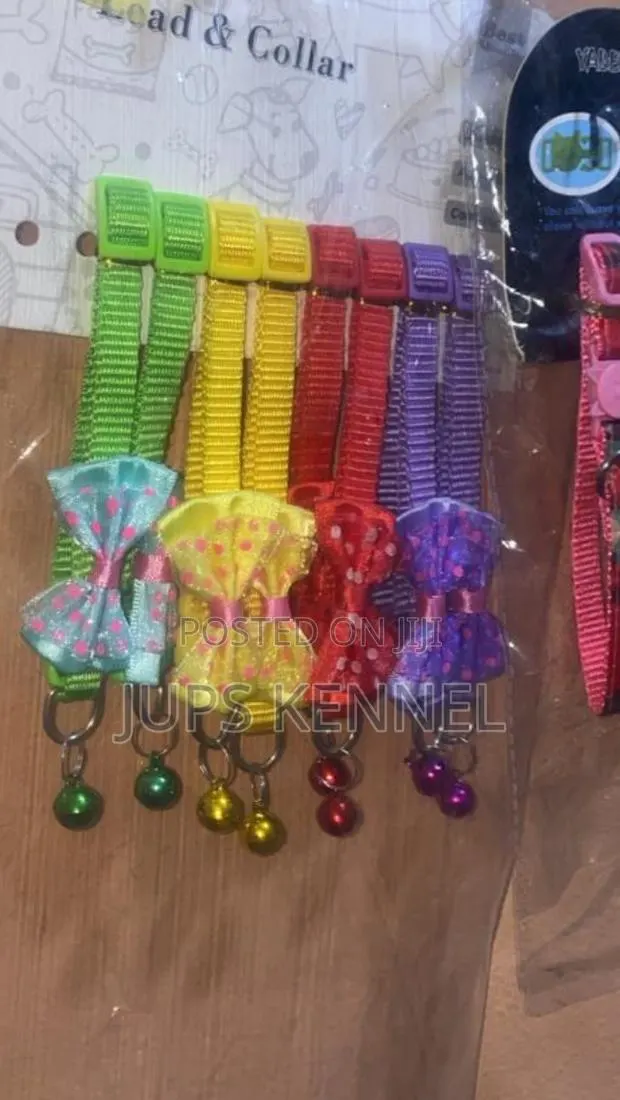 Dog (Puppy) Collar · Photo 1