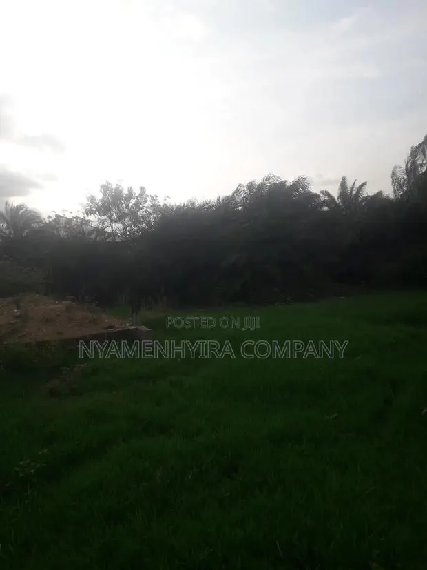 Full Plot of Land for Sale · Photo 1