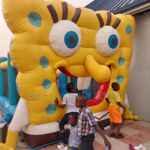 Bouncy Castle · Photo 1