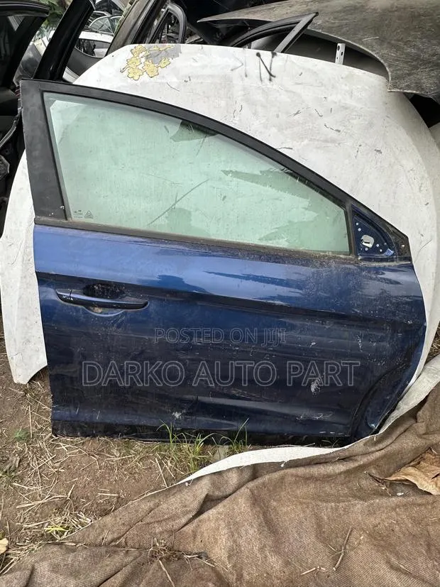 Hyundai Elantra 2016-2018 Door Front Right Available · Photo 1