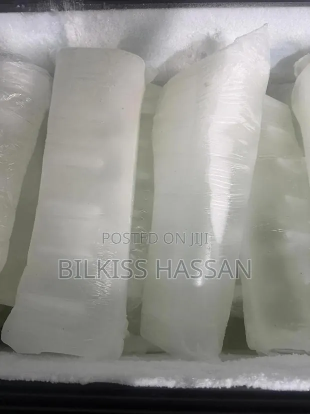 Long Lasting Ice Block · Photo 1