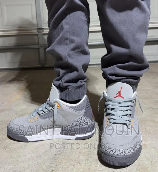 Air Jordan 3 Gray · Photo 1