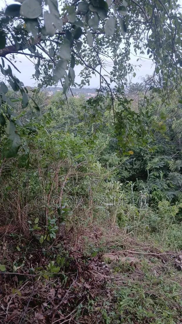 Land at Ho Around Skyplus Hotel for Sale · Photo 1