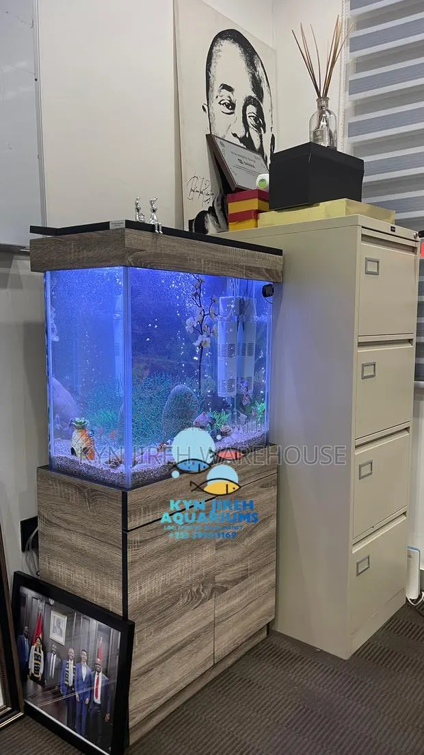 Caf Aquarium With Live Fishes · Photo 1